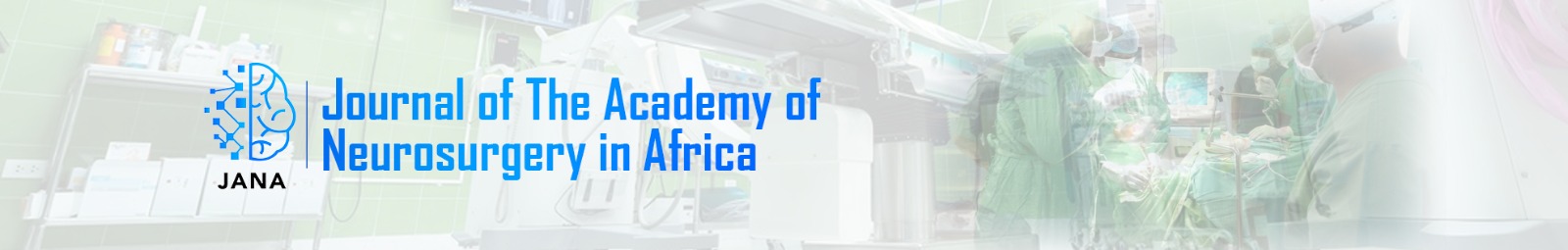 Journal of the Academy of Neurosurgery in Africa 