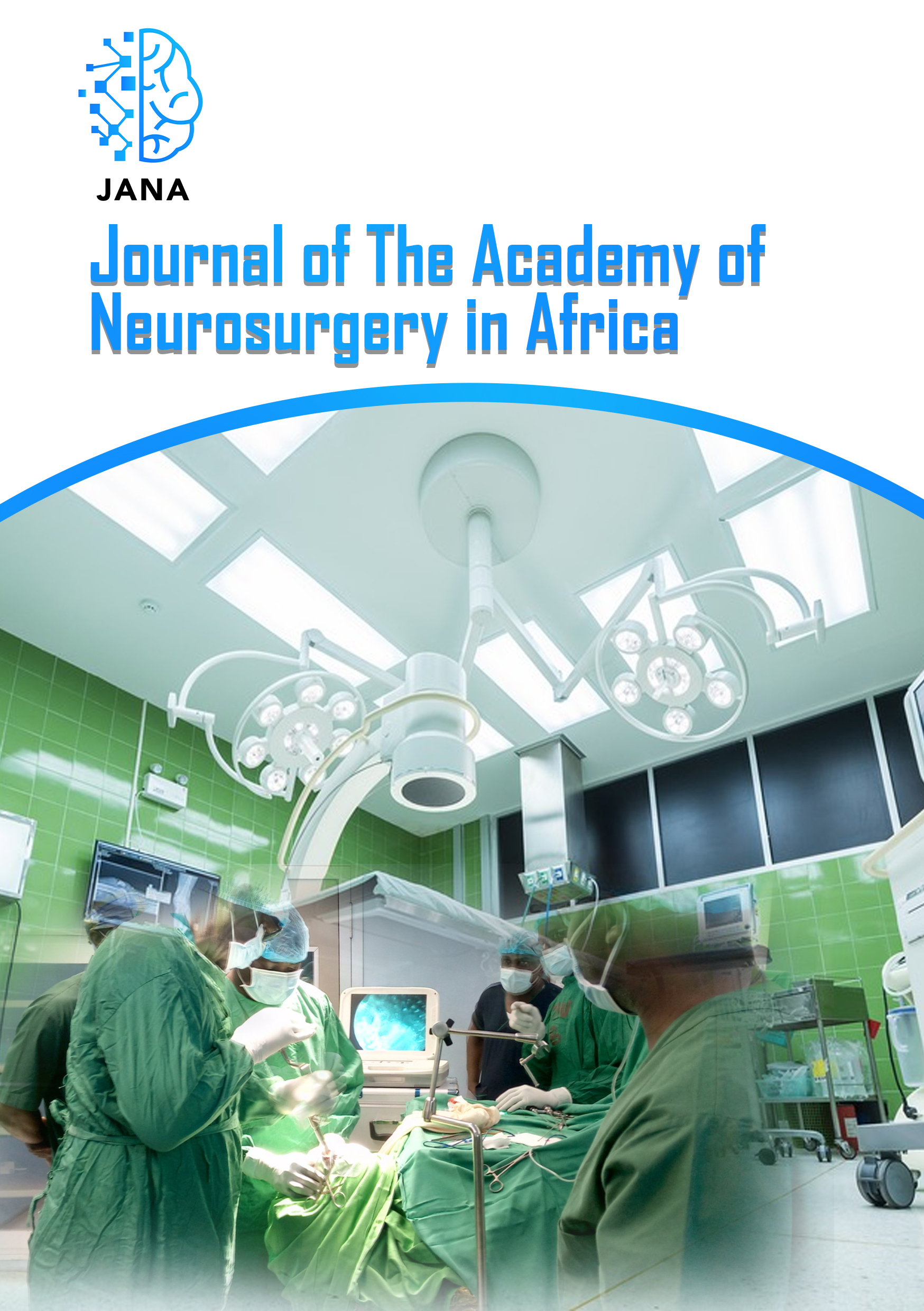 Journal of the Academy of Neurosurgery in Africa 